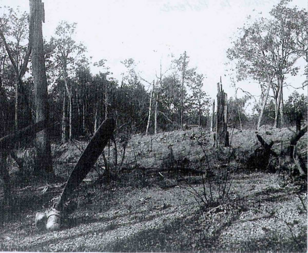 Photo of crash site